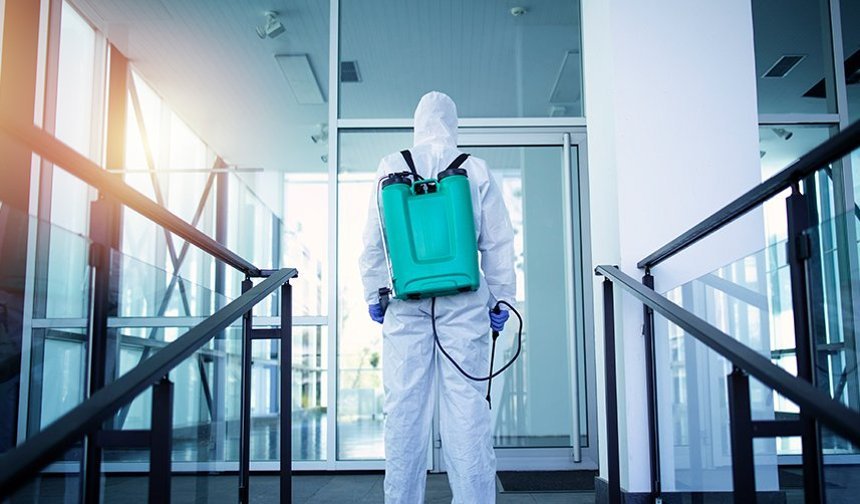 Güvenilir Böcek İlaçlama Firması Seçerken Dikkat Edilmesi Gerekenler