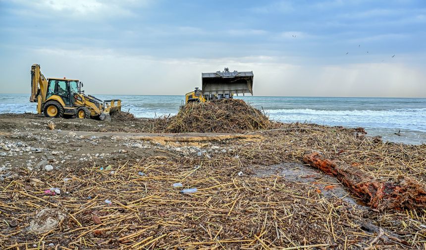 Mersin Sahillerinde Sel Sonrası Büyük Seferberlik