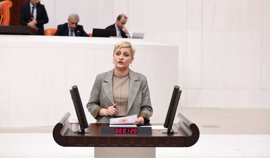 Meclis Gündemi Kurye Direnişi