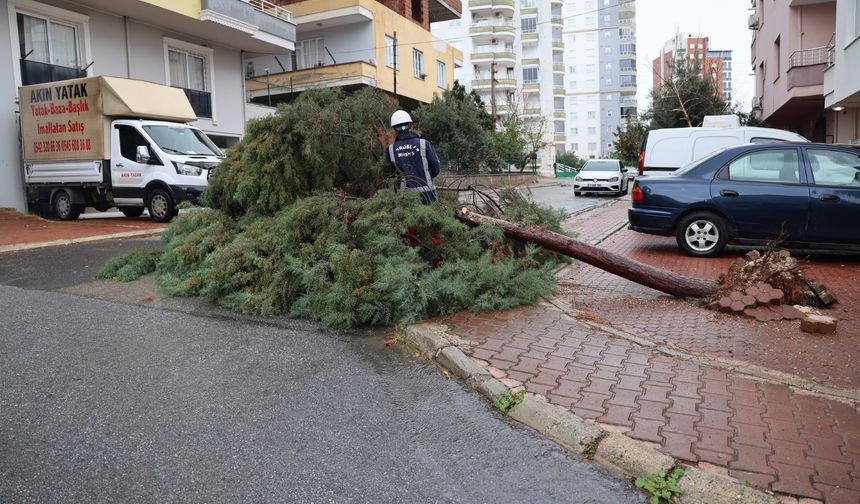 Toroslar'da Fırtına Seferberliği: Ekipler Gece Boyu Sahadaydı