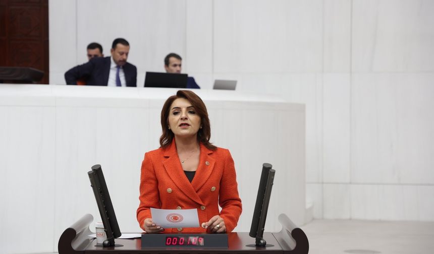 Gülcan Kış: "Enflasyon Kağıtta Düşüyor, Mutfakta Yanıyor