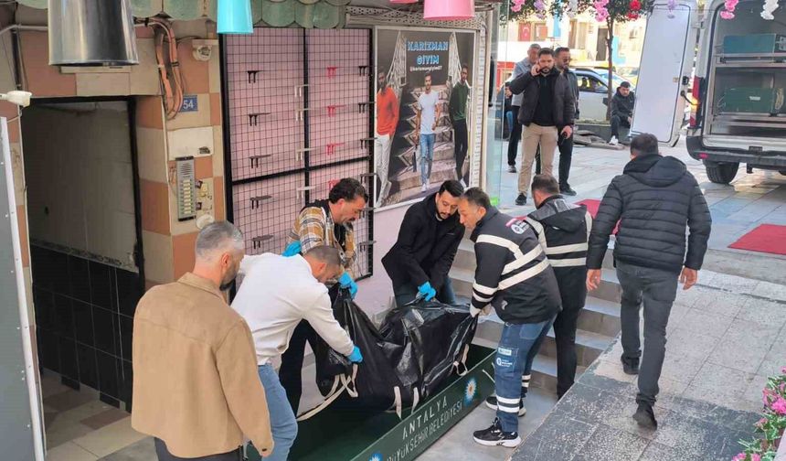 Antalya'da katil zanlısı saklandığı adreste yakalandı