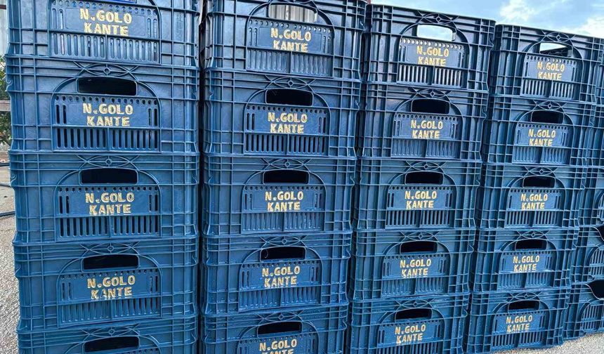 Fanatik üreticinin 'Kante' sevgisi: Domatesleri topladığı kasaya bile onun adını yazdırdı