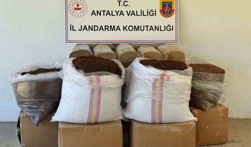 Gazipaşa’da Kaçakçılığa Darbe: 500 Kilo Tütün Ele Geçirildi