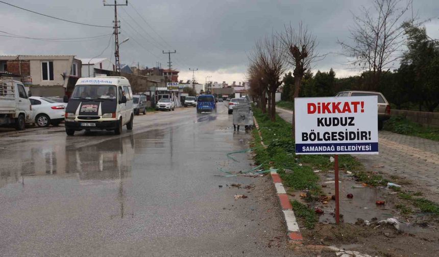 Hatay'da 4 mahalleye kuduz karantinası