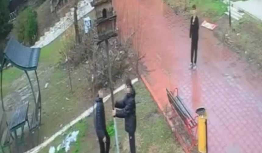 Kuş yuvasını parçalayan 4 çocuğa ev hapsi cezası