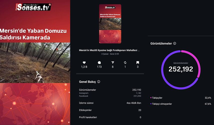Sonses.tv’den rekor: Yaban domuzu videosu gündem oldu