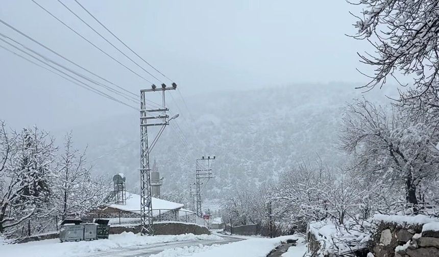 Adana'da yaylalarda kar etkili oldu