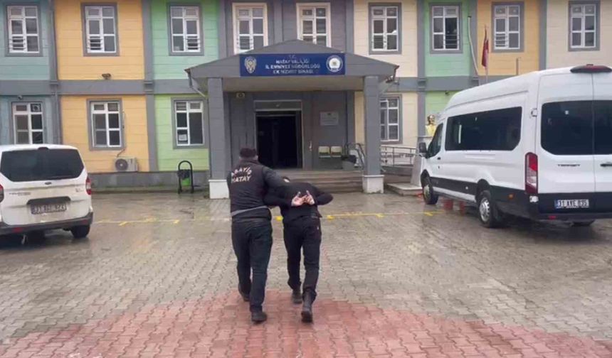 Antakya'da canlı hayvan çalan şüpheli yakalandı