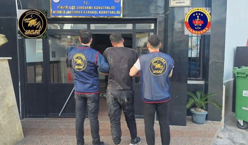 Jandarma 15 günde 973 aranan şüpheliyi yakaladı
