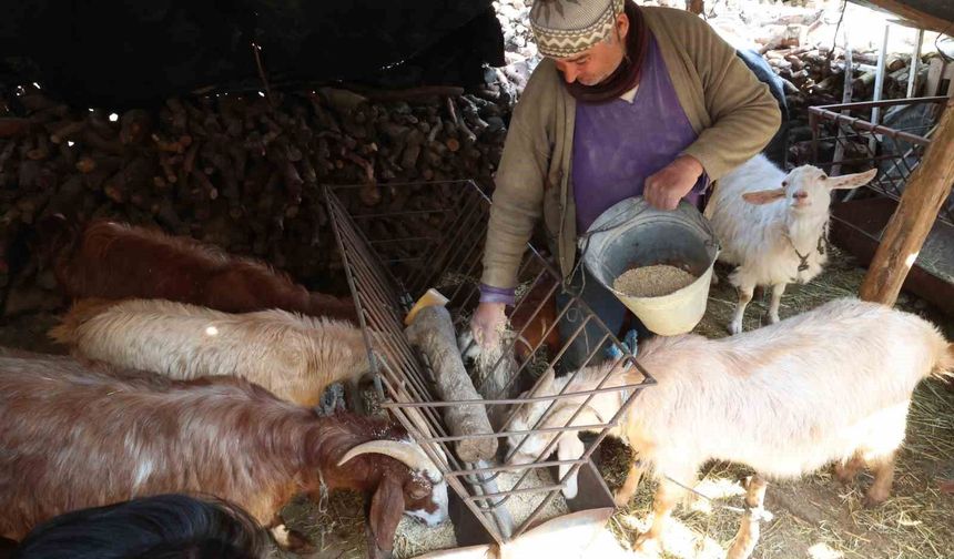 Korkuteli'nde yem ezme ve kırma makinesi üreticiye kolaylık sağlıyor