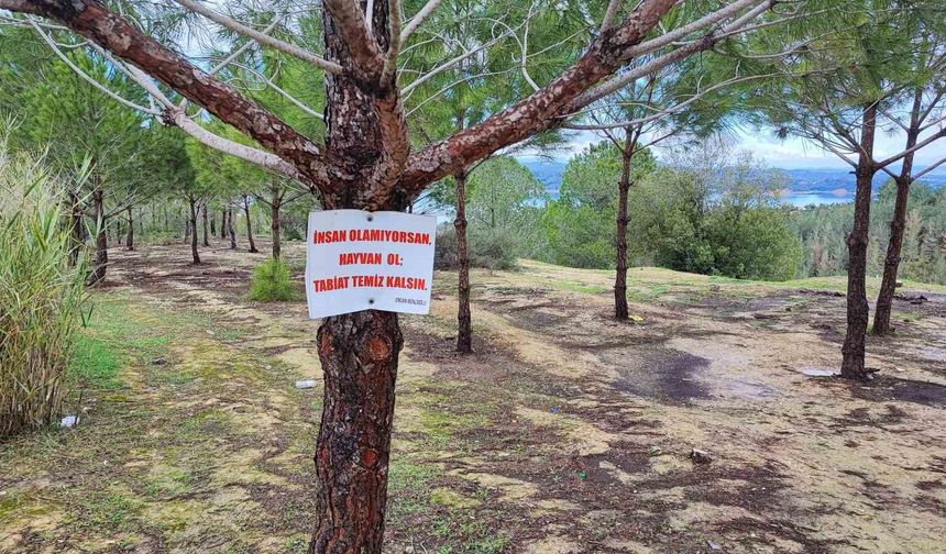 Vatandaşın ağaca astığı 'Tabiat temiz kalsın' uyarısı yetmedi