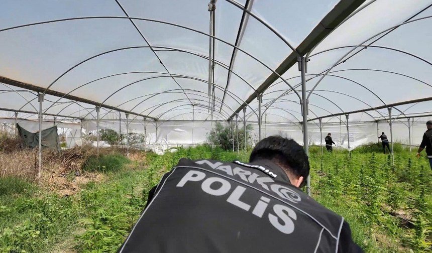 O Araziye Şafak Baskını: Binlerce Kök Yasaklı Madde Çıktı