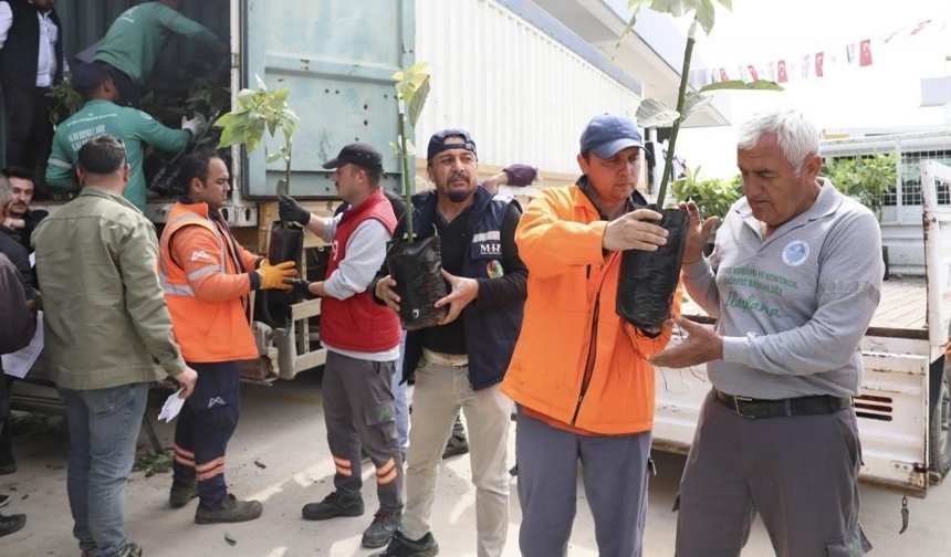 Mersin'de üreticiye avokado fidanı ve destek dağıtımı