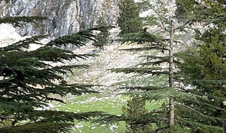 Osmaniye'de kayalıklardan düşen adam hayatını kaybetti