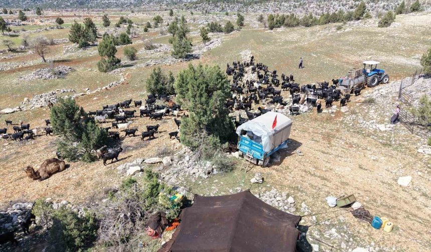Toroslar'da Yörük göçü başladı: Sarıkeçililer yayla yolunda