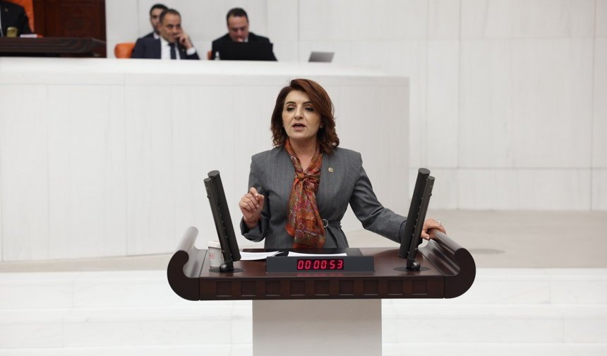 Gülcan Kış’tan Sert Bütçe Çıkışı: Bu Bir Ahlak Krizidir!