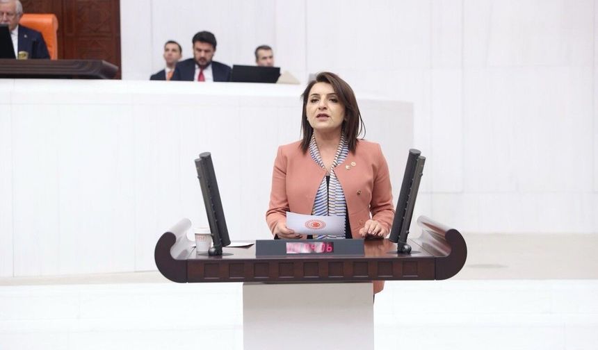 CHP’li Gülcan Kış’tan Kurban Bayramı Mesajı