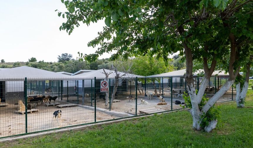 Yenişehir’den Can Dostlara Modern Sağlık Üssü