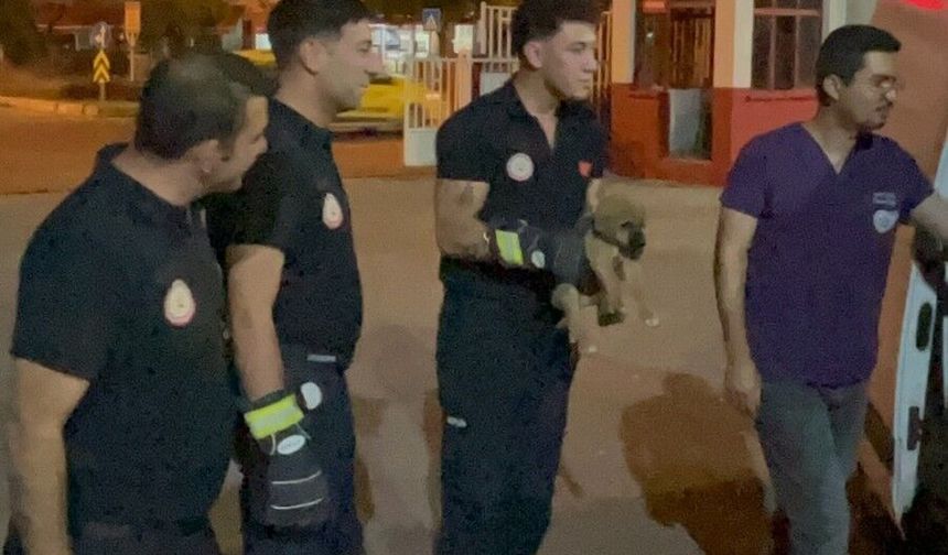 Otomobilin motoruna sıkışan yavru köpeği itfaiye kurtardı