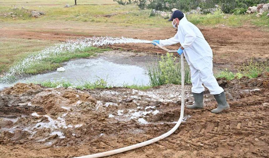 Büyükşehir'den kurban satış alanlarında ilaçlama