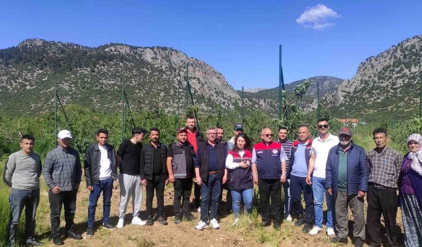 Eğirdir'de budama ve aşılama kursuna yoğun ilgi