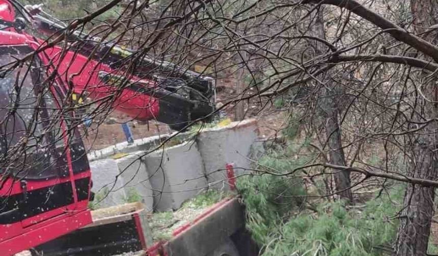 Yoldan çıkan vinç ormanlık alana daldı