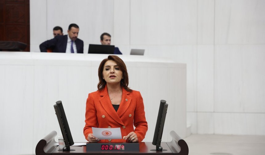 Gülcan Kış’tan "Varlık Barışı"na Sert Tepki