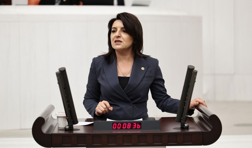 Gülcan Kış: "İkramiye Bir Kurbanlık Bile Etmiyor"