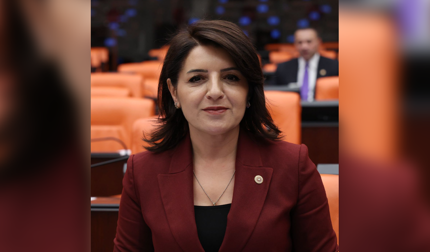 CHP’li Kış’tan TBMM’de Tarsus Katlıamı Çıkışı