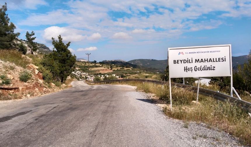 Asırlık Beydili Geçidi Ne Zaman Yapılacak?