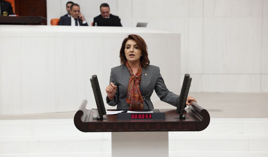 Milletvekili Kış: Tisan’da Mersin’in Geleceği Yargılanıyor