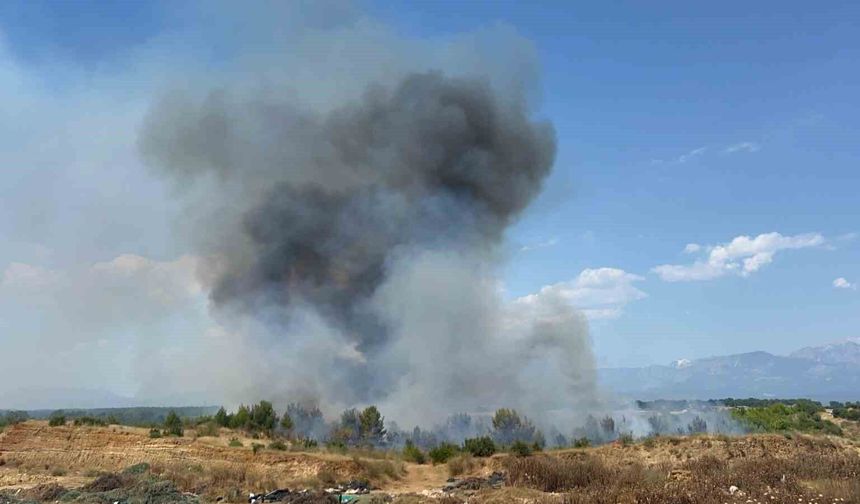 Antalya'da orman yangını: Havadan ve karadan müdahale