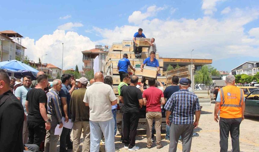 Antalya'nın dört bir yanına arı kovanı desteği