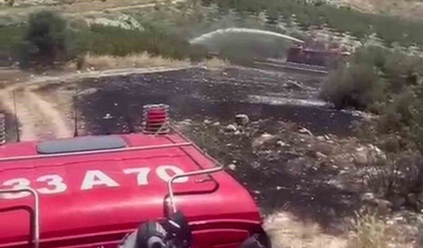 Mersin'de 6 dekar bahçe yangında zarar gördü