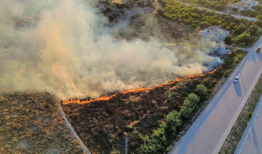 Mersin'de korkutan bahçe yangını: Evlerin sınırından döndü