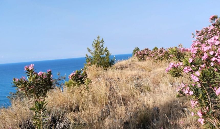 Akdeniz'in Pembe Koridoru sürücüleri büyülüyor