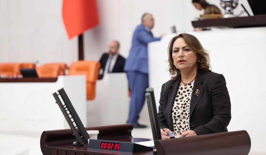 Müzeyyen Şevkin'den TBMM'de Madencilik Tepkisi