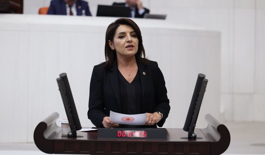 Gülcan Kış: Saray harcıyor, emekli geçinemiyor
