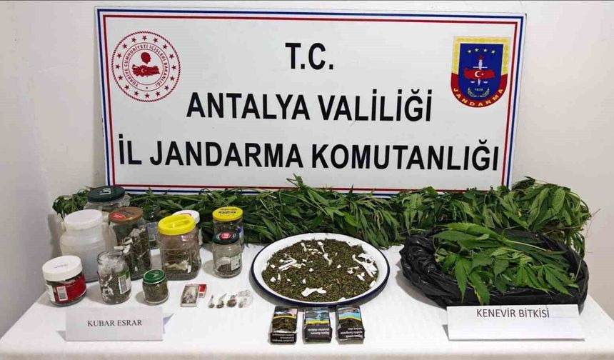 Manavgat'ta 2 kilo kubar esrar ve 130 kök kenevir ele geçirildi