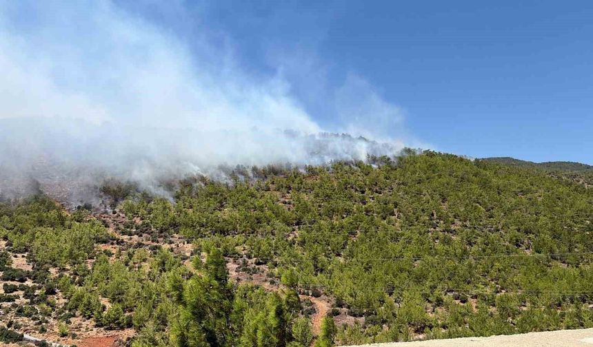 Aydıncık'ta Yangına Havadan ve Karadan Müdahale