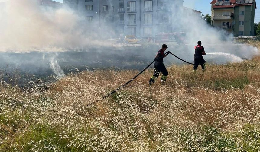 Rüzgarın etkisiyle büyüyen ot yangını evlere ulaşmadan söndürüldü