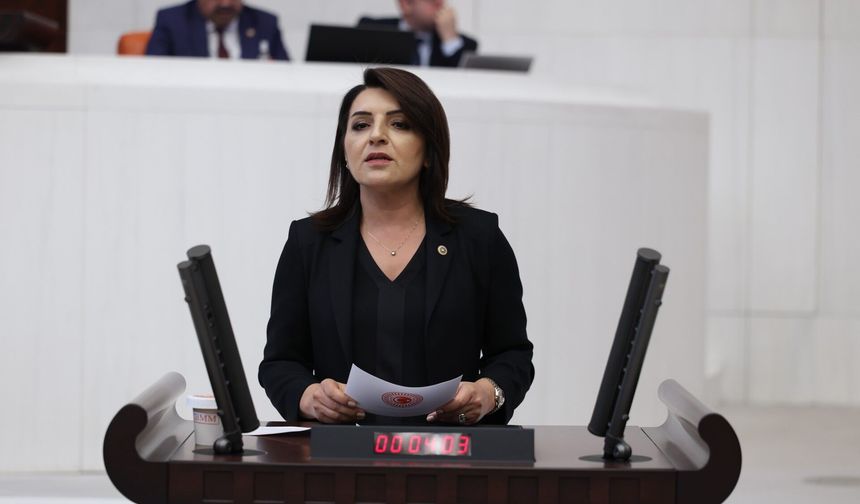 CHP'li Kış'tan TBMM'de Sert Faiz ve Borç Çıkışı