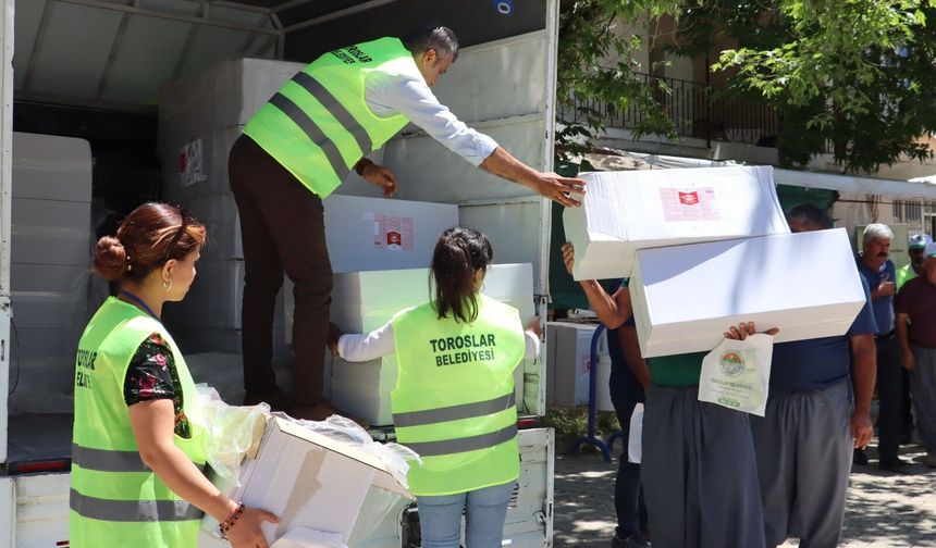 Toroslar'da desteklenen tohumlar hasat verdi