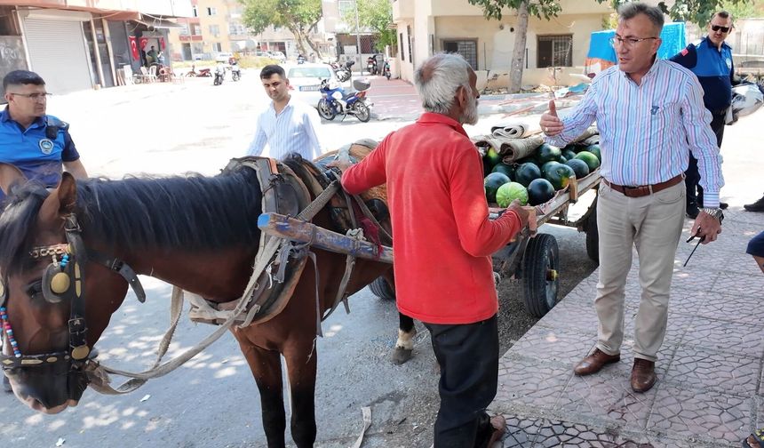 Mersin'de Yere Yığılan At Koruma Altına Alındı