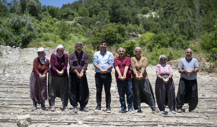 Mersin Büyükşehir'den Leklek fasulyesi üreticilerine tohum desteği