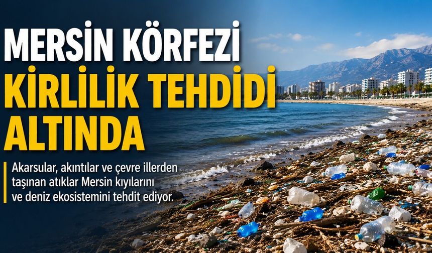 Mersin Körfezi’nde Kirlilik Alarmı