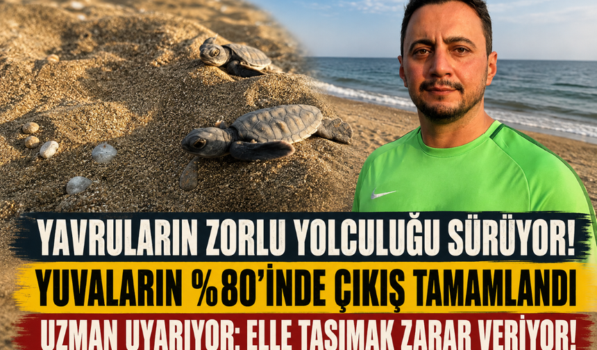 Dr. Ergene: 'Yavruları elle denize taşımayın!'