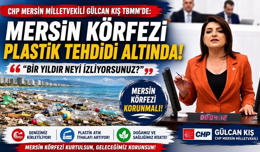 CHP'li Kış'tan Bakanlığa Mersin Körfezi Tepkisi