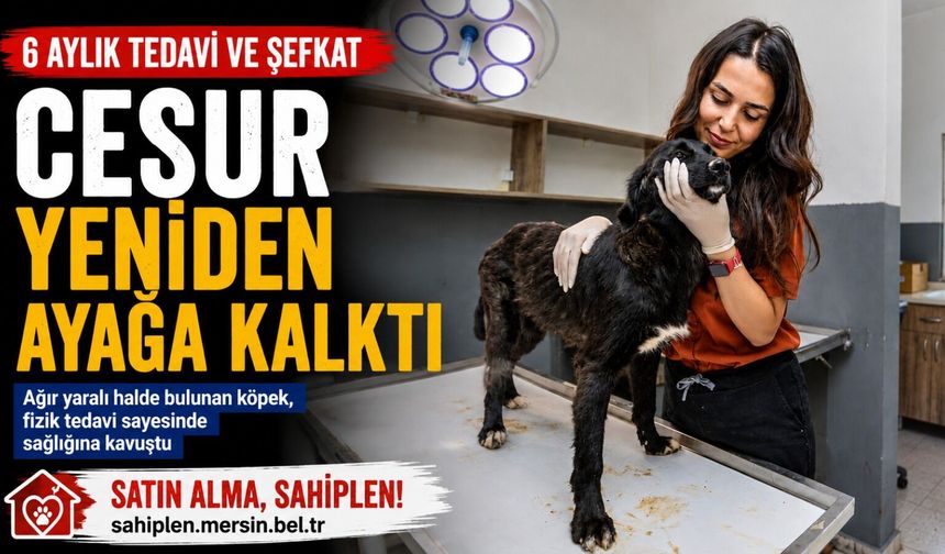 Mersin’de Ölümden Dönen 'Cesur' Sağlığına Kavuştu